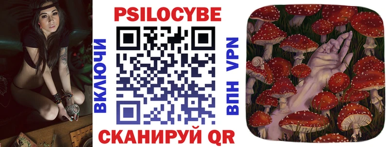 MEGA tor  где купить наркотик  Новотроицк  Псилоцибиновые грибы Cubensis 